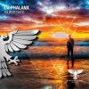 封面 DJ Phalanx - Sunstate DJ Phalanx - Sunstate