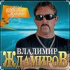 封面 Владимир Ждамиров - Любимая Владимир Ждамиров - Любимая