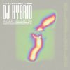 封面 DJ Hybrid - Gone DJ Hybrid - Gone