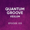 封面 Vexlum - Quantum Groove 015 Vexlum - Quantum Groove 015