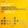 封面 Matt Schwartz pres. Sholan - Can You Feel Matt Schwartz pres. Sholan - Can You Feel
