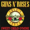 封面 Guns N' Roses - Sweet Child O' Mine (Volture & Luigi Neighbours Hardstyle Remix) Guns N' Roses - Sweet Child O' Mine (Volture & Luigi Neighbours Hardstyle Remix)