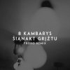 封面 8 Kambarys - Šiąnakt Grįžtu (Froro Remix) 8 Kambarys - Šiąnakt Grįžtu (Froro Remix)
