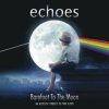 封面 Echoes - Shine on you crazy diamond Echoes - Shine on you crazy diamond