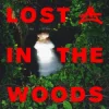 封面 Elderbrook & Adriatique - Lost In The Woods Elderbrook & Adriatique - Lost In The Woods