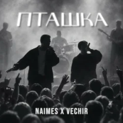 封面 NAIMES & VECHIR - пташка