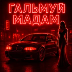 封面 Fartovyy - Гальмуй мадам