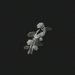 封面 John Michael Howell & JVKE & ZVC - A Thousand Year