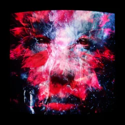 封面 PNAU & MEDUZA - Rollin