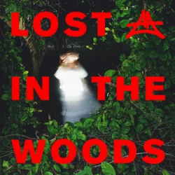 封面 Elderbrook & Adriatique - Lost In The Woods