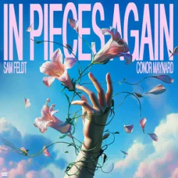 封面 Sam Feldt & Conor Maynard - In Pieces Again