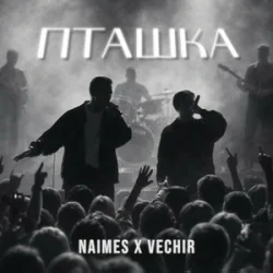 封面 NAIMES & VECHIR - пташка (KARMV REMIX)