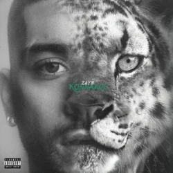 封面 ZAYN - Die For Me