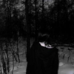 封面 DarkRezet - nightshade