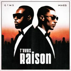 封面 GIMS & Maes - T'avais raison