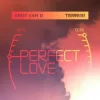 Обкладинка Krist Van D & Terri B! - Perfect Love Krist Van D & Terri B! - Perfect Love