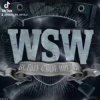 封面 WSW - Паскот WSW - Паскот