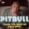封面 Pitbull - I Know You Want Me Pitbull - I Know You Want Me