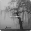 封面 DNDM - Not Mine (Extended) DNDM - Not Mine (Extended)