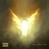 封面 Dave & Tems - Raindance Dave & Tems - Raindance