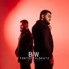 封面 BW & FORTROYALBEATZ - Тень BW & FORTROYALBEATZ - Тень