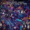 封面 Psyko Disko - Nobody (Ace Ventura & Skizologic Remix) Psyko Disko - Nobody (Ace Ventura & Skizologic Remix)