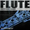 封面 Dimitri Vegas & WINSON - Flute Dimitri Vegas & WINSON - Flute