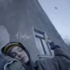 封面 EMAA - Fluturi EMAA - Fluturi