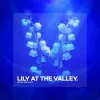 封面 Boris Brejcha - Lily At The Valley Boris Brejcha - Lily At The Valley