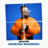 封面 Shnaps - Danсing shadows Shnaps - Danсing shadows