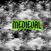 封面 En:vy - Medieval En:vy - Medieval