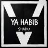 封面 SHADU - Al Noor SHADU - Al Noor