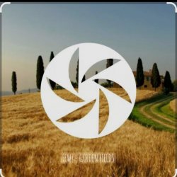 Обкладинка FEWZ - Golden Fields