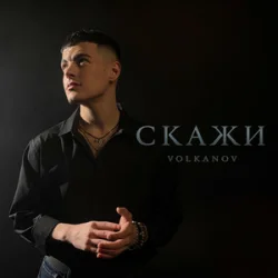 Обкладинка Volkanov - Скажи