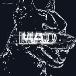 Обкладинка Will Sparks - Mad