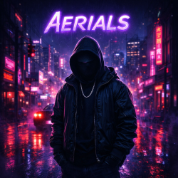 封面 Aerials