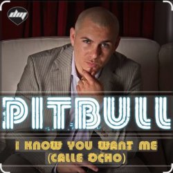 封面 Pitbull - I Know You Want Me