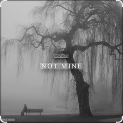 封面 DNDM - Not Mine (Extended)