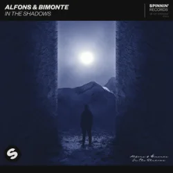 Обкладинка Alfons & BIMONTE - In the shadows