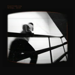 Обкладинка Electrobirds - Вітер, неси