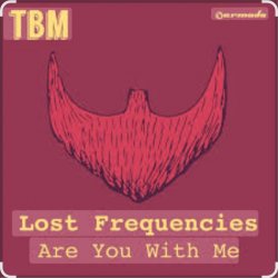 封面 Lost Frequencies - Are You With Me