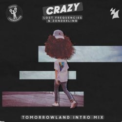 封面 Lost Frequencies & Zonderling - Crazy