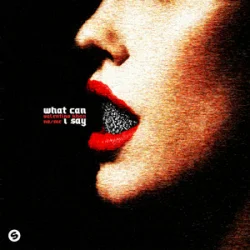 Обкладинка Valentino Khan & No/Me - What Can I Say