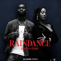 Обкладинка Dave & Tems - Raindance (Dj Dark Remix)