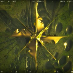 Обкладинка What So Not & The Upbeats - Wanted