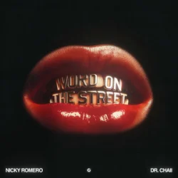 Обкладинка Nicky Romero & Dr. Chaii - Word On The Street