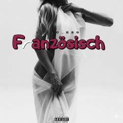 封面 e_x_c_e_20 - Französisch