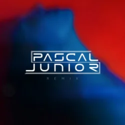 Обкладинка Pascal Junior & Papa Jr. - Ploaia (Remix)