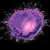封面 Purple Unit - Human Dust Purple Unit - Human Dust