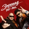 Обкладинка MilL & DEF - ЗОРЕПАД MilL & DEF - ЗОРЕПАД